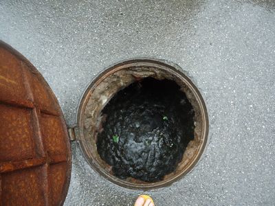 化糞池清理