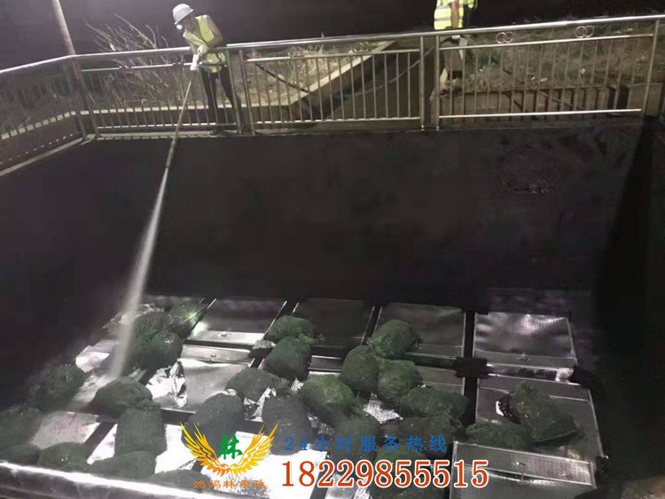 鴻鵠林市政