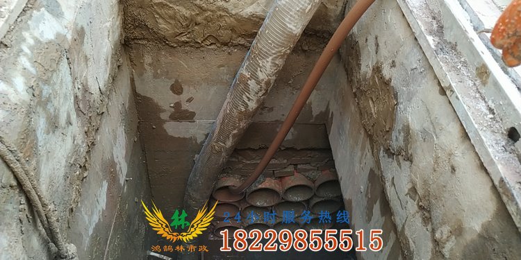 鴻鵠林市政