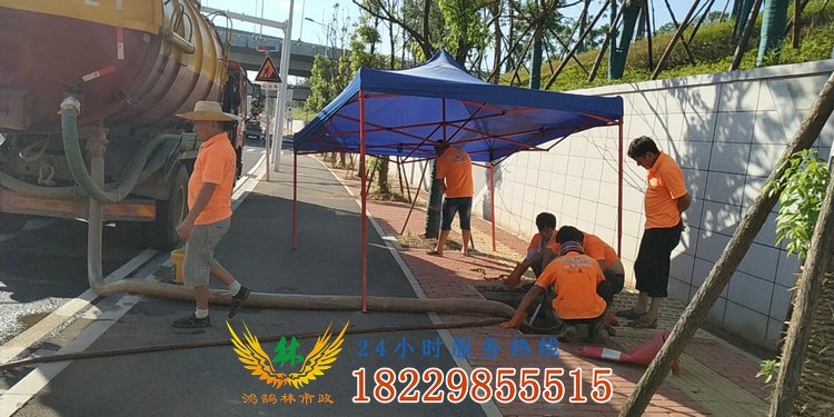 鴻鵠林市政