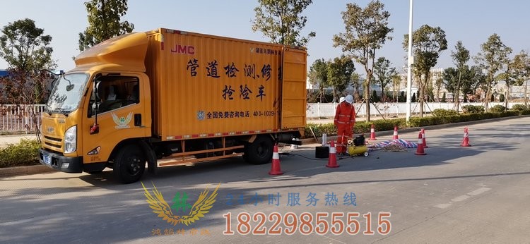 鴻鵠林市政